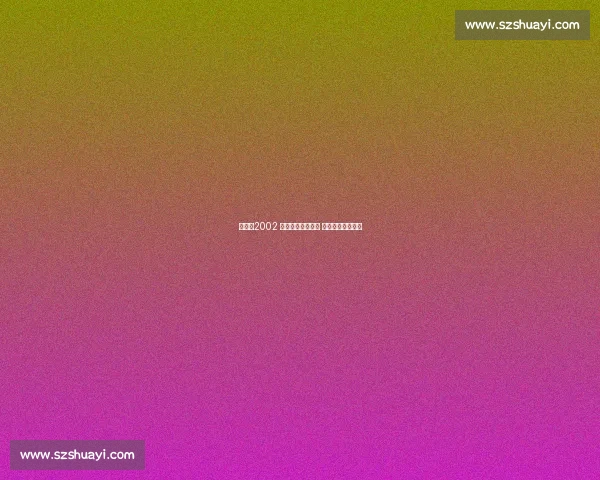 毕比：2002 西决国王本应夺冠 我们比湖人更出色