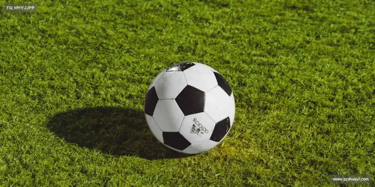 zoty中欧🥋汗水铸就辉煌，坚持成就梦想 —— 这里，是你的运动充电站！